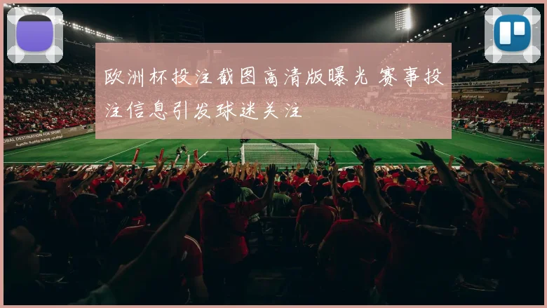 欧洲杯投注截图高清版曝光 赛事投注信息引发球迷关注