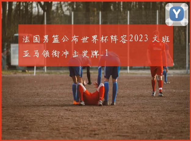 法国男篮公布世界杯阵容2023 文班亚马领衔冲击奖牌_1