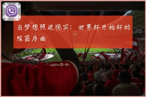 当梦想照进现实：世界杯开始杯的绿茵序曲